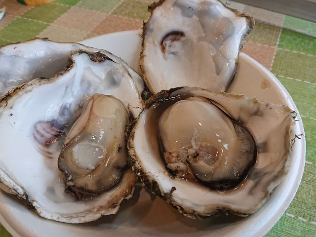 KL_̉w݃Op[NEݖo^[~iERLG