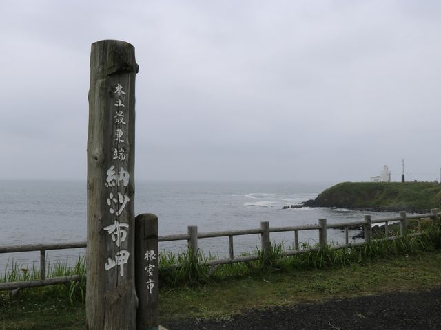 �k�C���{�y�œ��[_�[���z��