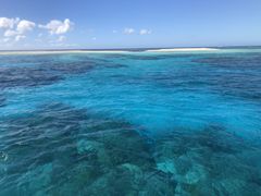 FIOREHappyIslandւ̓eʐ^2