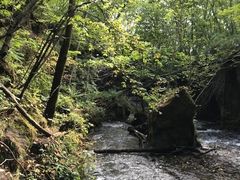 �R���I�肳��̒M�O�K���[�ւ̓��e�ʐ^1