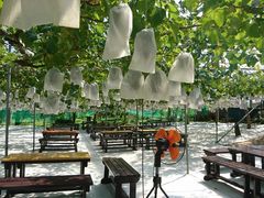 sˁt̂܂悵ʎւ̓eʐ^1