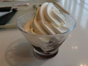 E102̘ZԒ ߌX̓eʐ^4