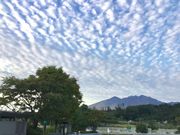 308777isa̔xp[LOGA̓eʐ^2