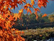 񂳂̋Er̍gt̓eʐ^4