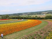 E102̃t[h݂ӂ̂̓eʐ^1