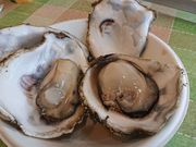 ���E102����̓��̉w���݃O�����p�[�N�E���ݖ��o�^�[�~�i���E�R���L���G�̓��e�ʐ^2