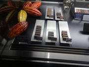 Ђ낳̗mَq}Ee ipeBX[}Eej̓eʐ^2