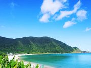 ݂イS̉݊C݂̓eʐ^5