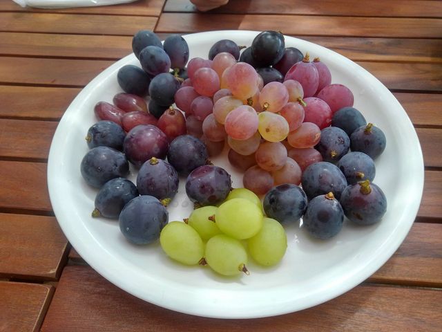 �F��Ȏ�ނ̎��H�Ԃǂ�_�É��b�ʉ�