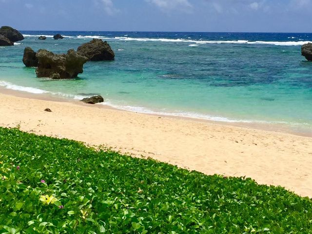 �C��كV�[�u���[��