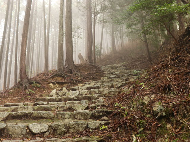 hyde����̐瑁��Ղ̓��e�ʐ^1