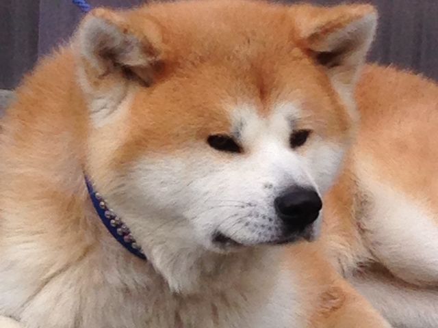 �H�c��_�c���