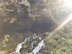 ��傤����̗��_�̑�i���쌧���{�s�j�ւ̓��e�ʐ^1