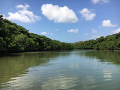 MIEOHCUSΊ_ւ̓eʐ^1