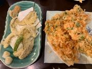 ܂݂񂳂̓c齖{w̓eʐ^4