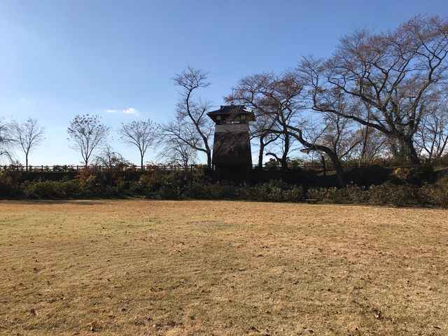 kPĂ郉C_[̍H隬̓eʐ^1