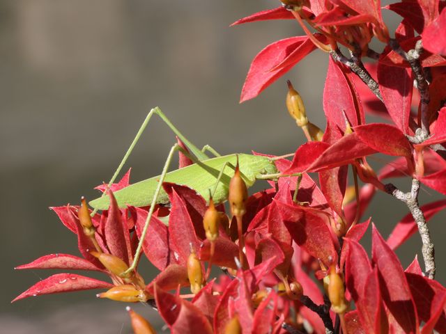 LMXNgtɉBĂI_͖kgԎ