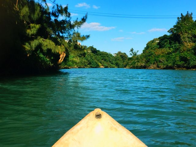 ��̗���͊ɂ₩�ŁA�X�C�X�C�i�݂܂��ˁI���̌��Ŋ���_�E�F�[�u�@�}�����@�N���u