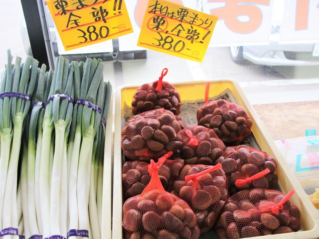 �I�@�����I_���̉w �����̂� ���E��̑呾�ۂ̗�