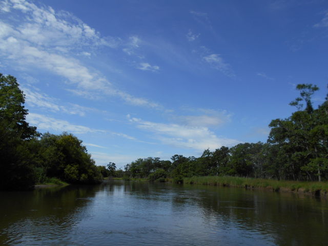 Â܂ԂĂ܂_t@~[Jk[Ƃ