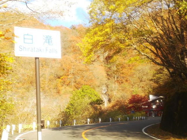 �������݂����C��