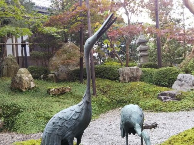 ����_�{�ƒߊ삻��