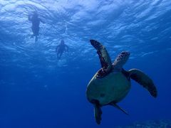 Ȃ̃JCU[}Nuւ̓eʐ^1