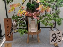 ���Ⴂ�낳��̓��̉w �����̗����ǂ���ւ̓��e�ʐ^1