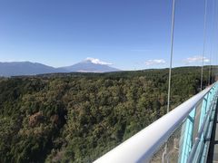 Ƃ񂳂̎OXJCEH[Nւ̓eʐ^1