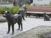 Ƃ񂳂̑ٔ\`Xg|[g̓eʐ^3