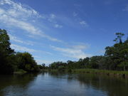 sokudumõt@~[Jk[Ƃ̓eʐ^1