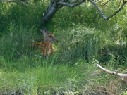 sokudumõt@~[Jk[Ƃ̓eʐ^2