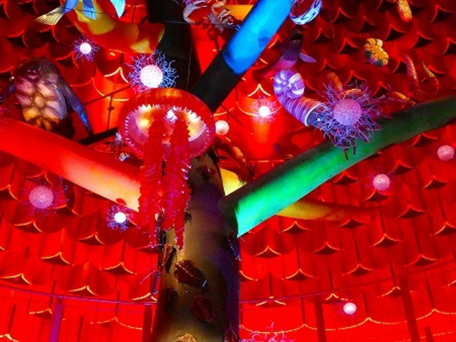 �S�Ă̎ʐ^�͂P�K����B�e���Ă��܂����A�����H_���z�̓�