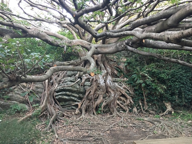 ike55jp̎˖MѐыyъCݐAQ̓eʐ^1