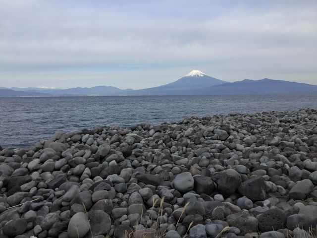 �x�m�R�Ɍ������ău���u���E�E�E_��l������