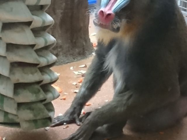 ���H���Ԃł��@���ł���_�~�R������