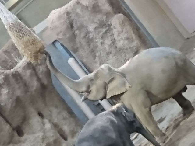 �O��̏ۂ����N�S�������Ă����(�����s�������͂R���ł�����)�����^���̍b�゠���ėǂ������ł��ˁB_�~�R������