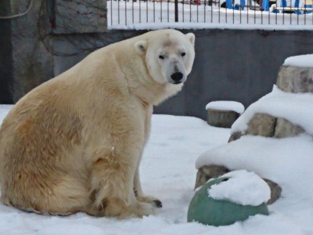 �J�����ڐ�(��)_�~�R������