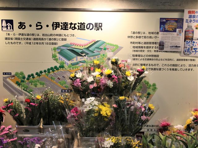 ēȂIԑR_EEɒBȓ̉w@