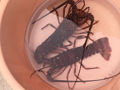 kayö̌{݁@Cقւ̓eʐ^1