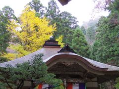 kiyohiko85jp����̎O�Ŏ��������ւ̓��e�ʐ^1