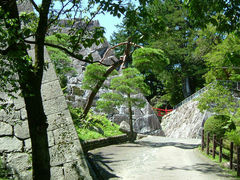 �}���o�[����̐�����Ռ���(������)�ւ̓��e�ʐ^1