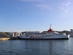 ����������̉F��`�ւ̓��e�ʐ^1