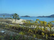 gV[̎OsȂ݊Cl̓eʐ^1