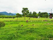 񂳂̍vԏێȒ̓eʐ^4