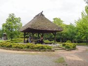 񂳂̍vԏێȒ̓eʐ^5