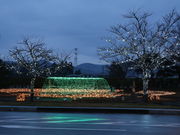 Ƃ񂳂̂EEɒBȓ̉w@̓eʐ^6