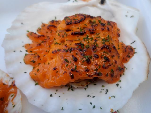 z^eL̃Ej\[XĂ250~_ȃZ^[