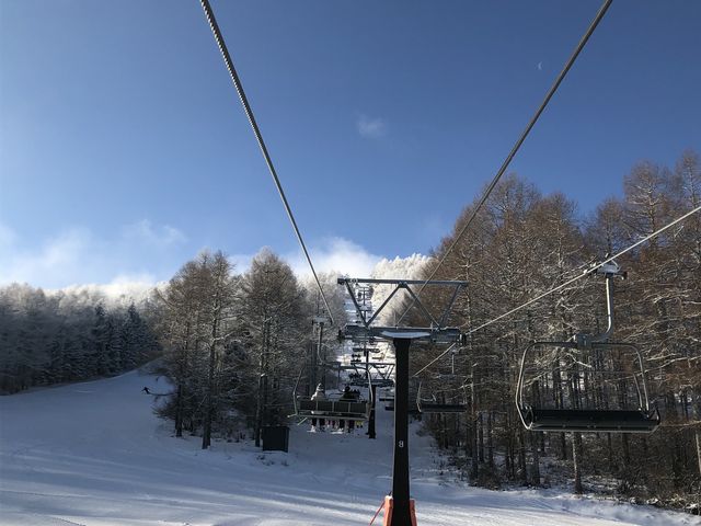 �N���b�h���t�g����̎ʐ^_�u�����V��������܃X�L�[��