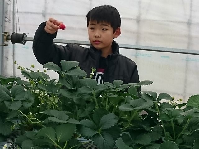 ���������Ղ�A������ł��B
���܂Ȃ��ŐH�ׂ���̂ŁA���N�z�̕����y���߂�_�{�c��������